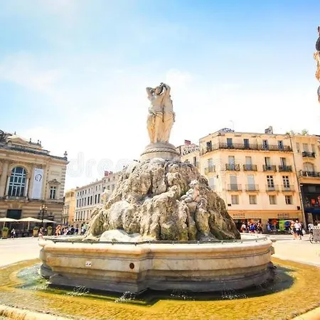 T2 De Charme En Plein Coeur Du Centre